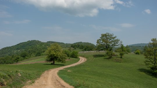 planina radan